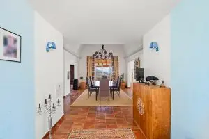 DSCF2502.jpg